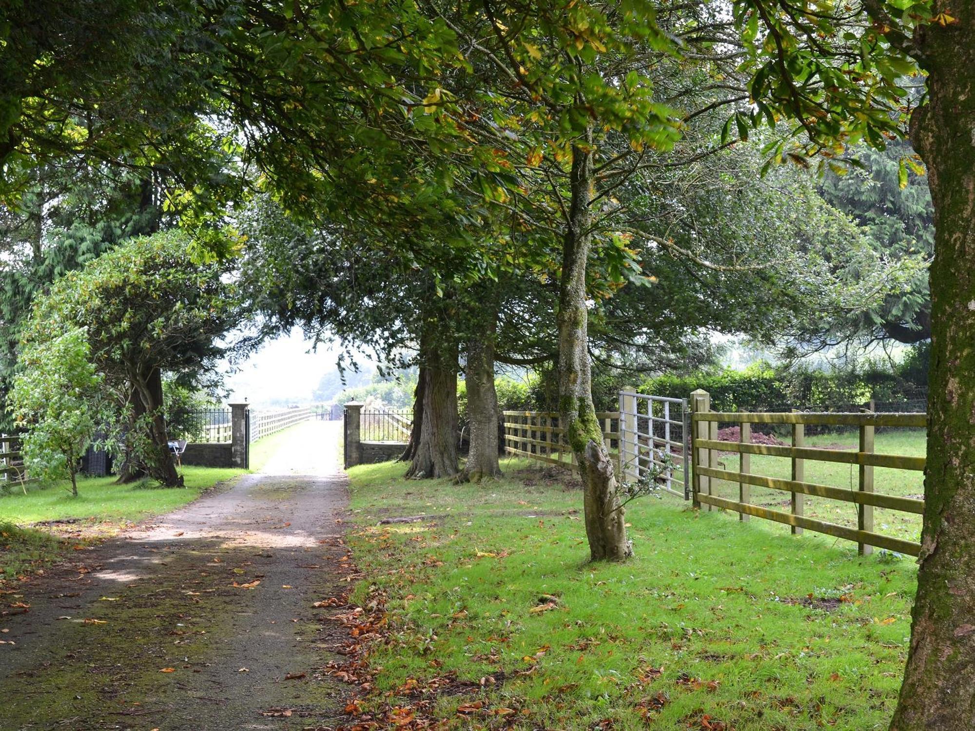 Paxton View Barn Villa Llanddarog Eksteriør billede